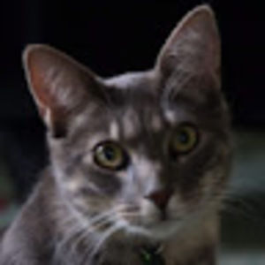 Meet your Posher, Johanna